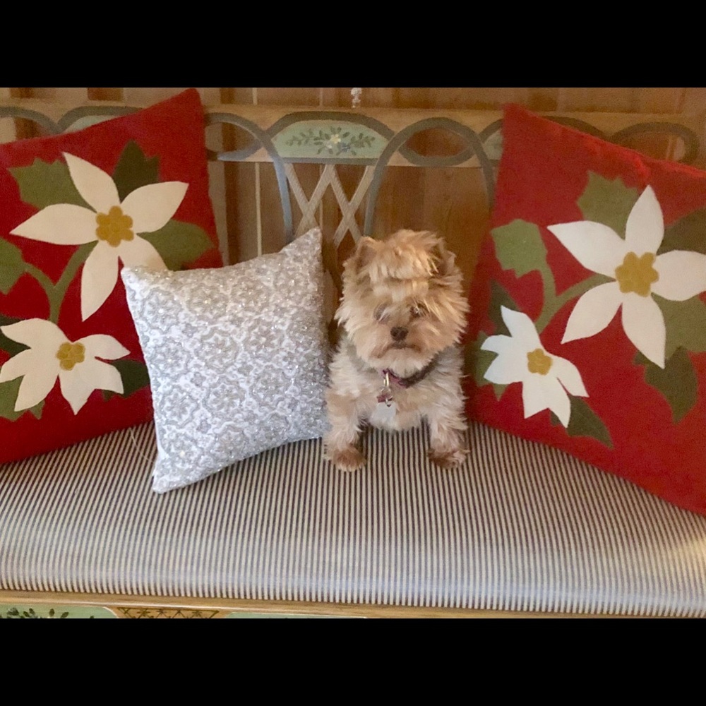 Meet your Posher, Sandra